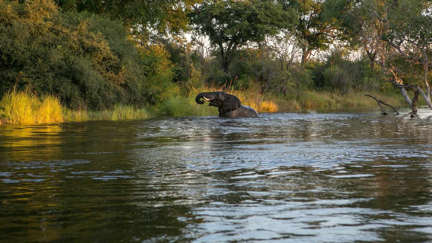 Best Africa River Cruises Best Africa River Cruises
