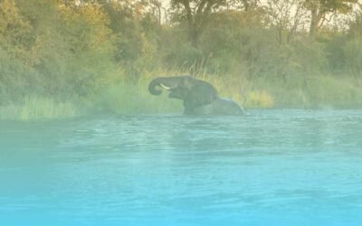 Best Africa River Cruises
